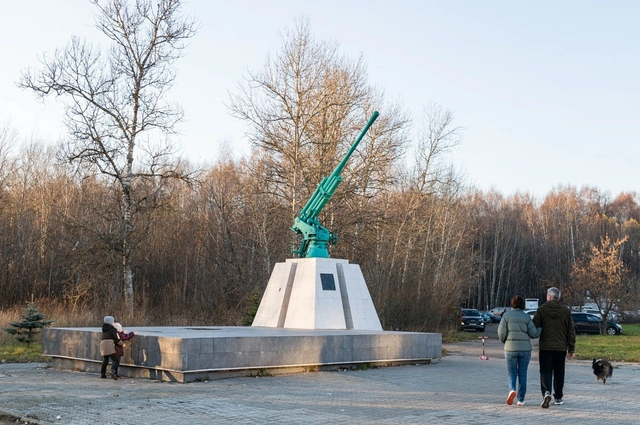 Электростальский калейдоскоп